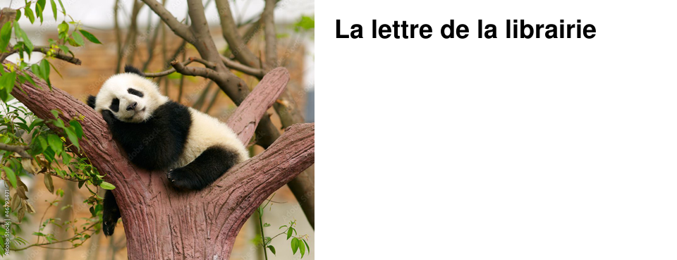 La lettre de la librairie